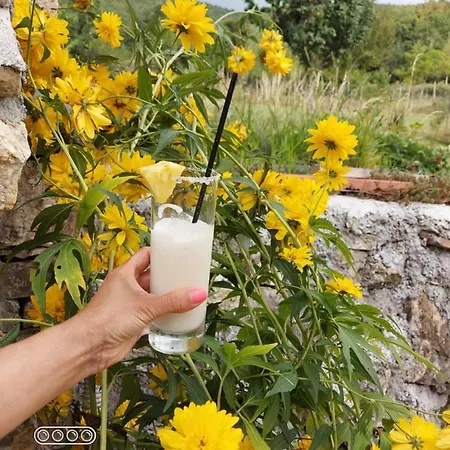 Apartament Con Garage Kate